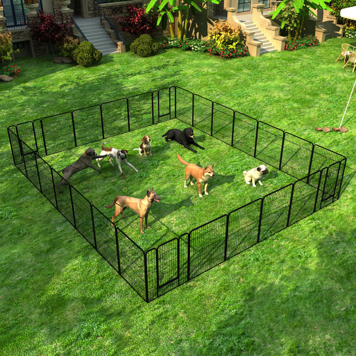 specool 16-Panels Folding Exercise Dog Pen | Wayfair